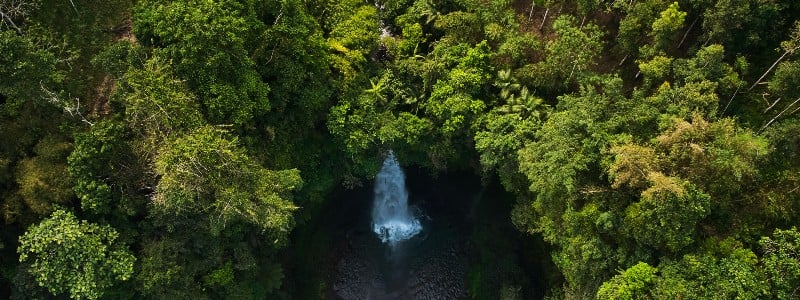 Aerial view of a lush green forest surrounding a beautiful waterfall cascading into a rocky pool below. Vibrant greenery fills the scene.